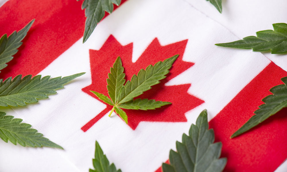 Quebec exigera un vaccin COVID-19 pour acheter du Cannabis