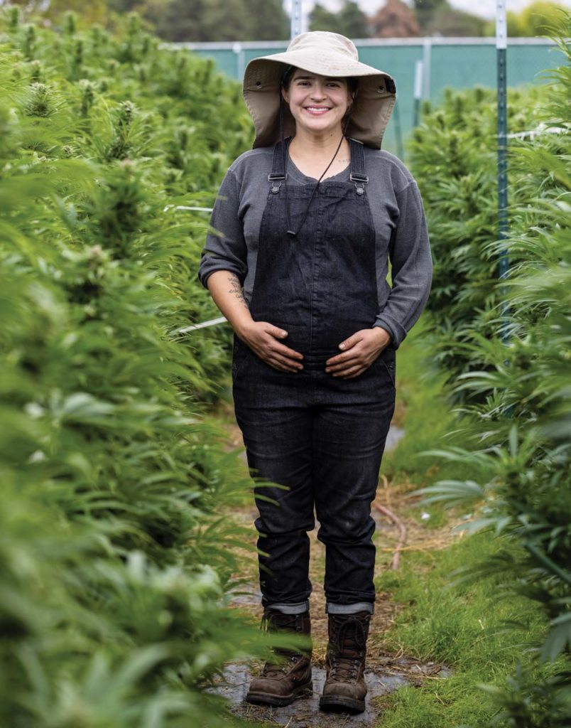 Melissa Beseda enceinte dans un champ de cannabis