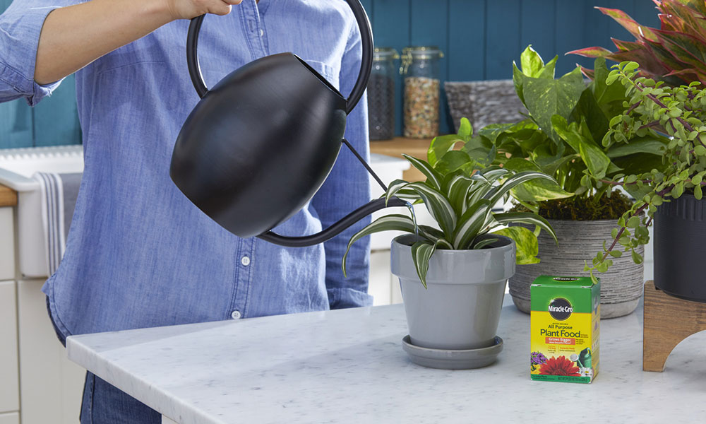 Scotts-MiracleGro et le cannabis