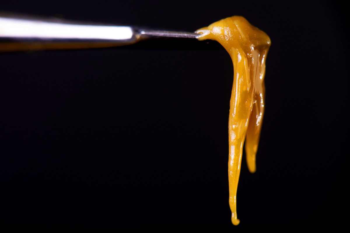 Cannabis Concentrates