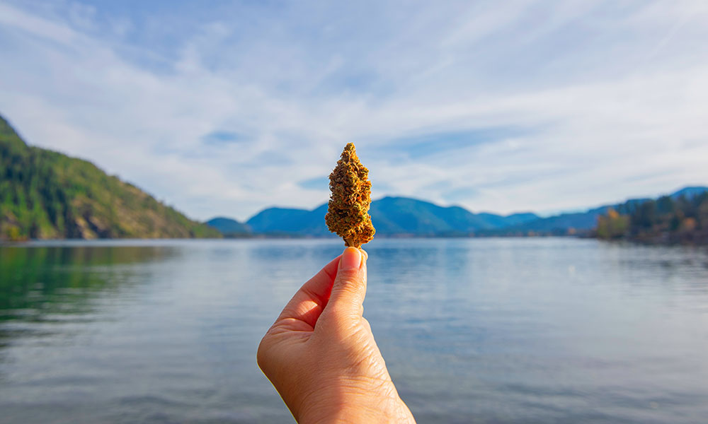 Le cannabis et le Canada