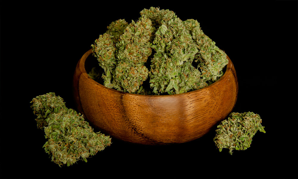Graines hybrides F1