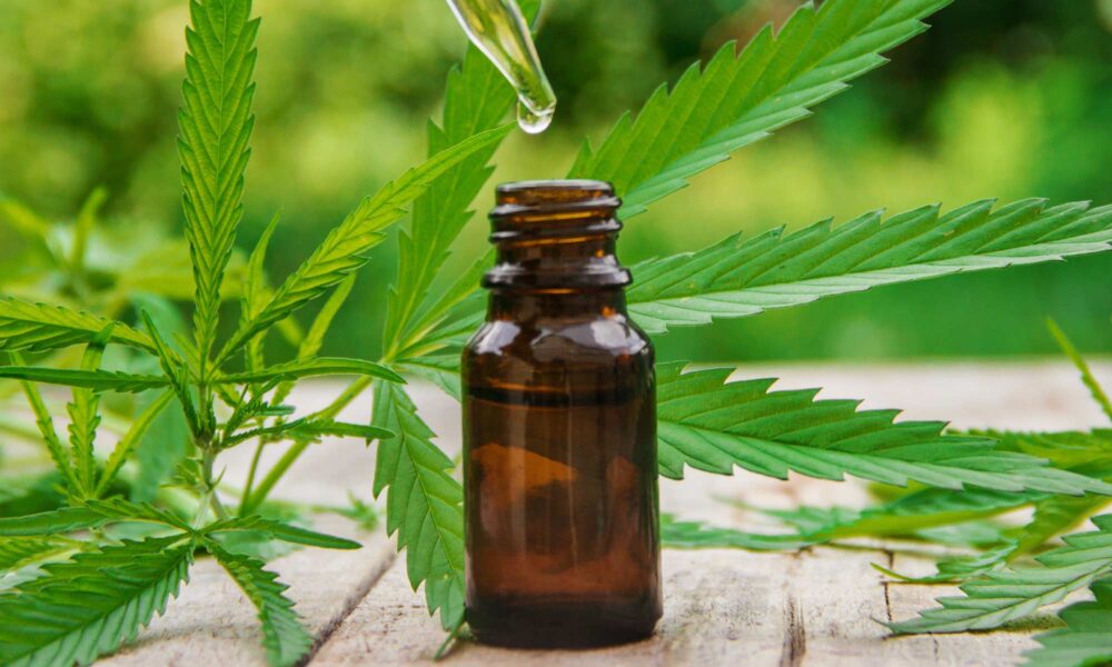 Cannabis tinctures